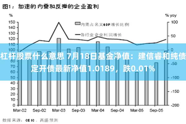 杠杆股票什么意思 7月18日基金净值：建信睿和纯债定开债最新净值1.0189，跌0.01%