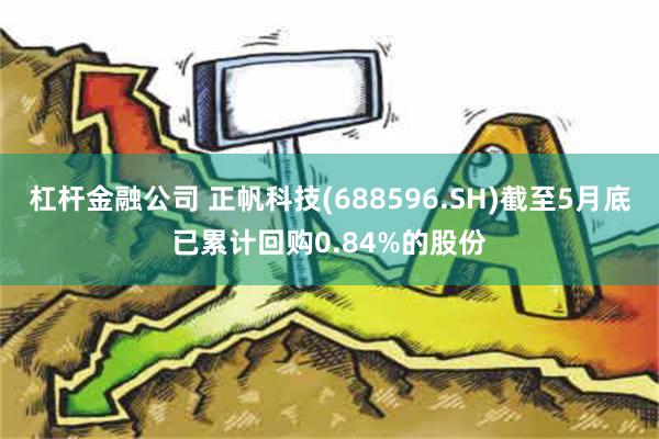 杠杆金融公司 正帆科技(688596.SH)截至5月底已累计回购0.84%的股份