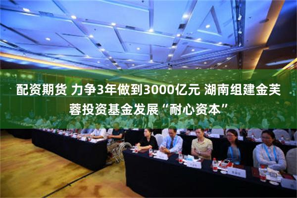 配资期货 力争3年做到3000亿元 湖南组建金芙蓉投资基金发展“耐心资本”