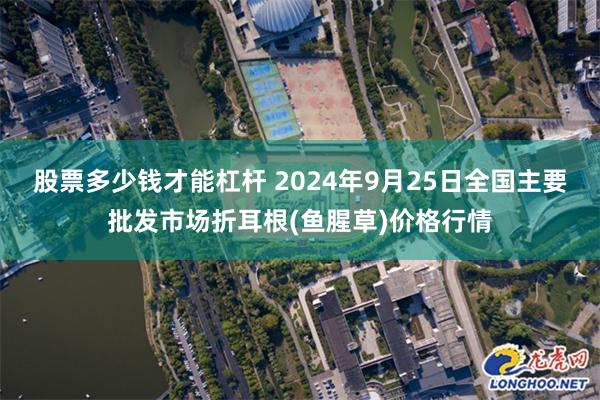 股票多少钱才能杠杆 2024年9月25日全国主要批发市场折耳根(鱼腥草)价格行情