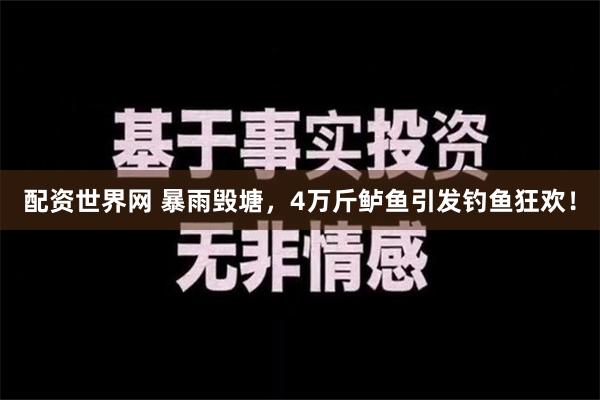 配资世界网 暴雨毁塘，4万斤鲈鱼引发钓鱼狂欢！