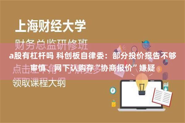 a股有杠杆吗 科创板自律委：部分投价报告不够审慎、网下认购存“协商报价”嫌疑