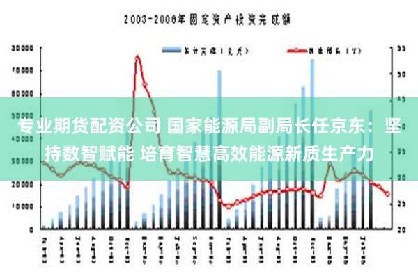 专业期货配资公司 国家能源局副局长任京东：坚持数智赋能 培育智慧高效能源新质生产力