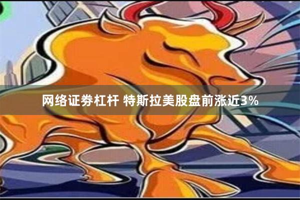 网络证劵杠杆 特斯拉美股盘前涨近3%