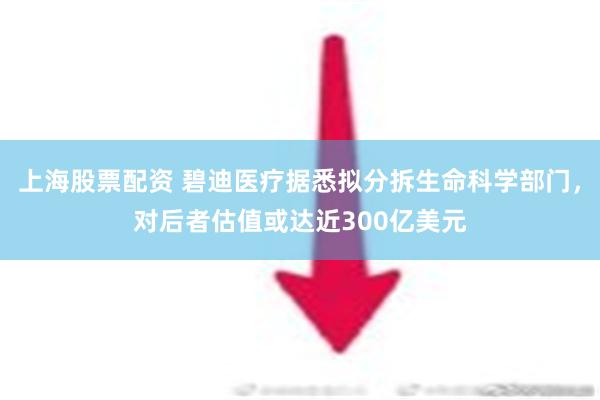 上海股票配资 碧迪医疗据悉拟分拆生命科学部门，对后者估值或达近300亿美元